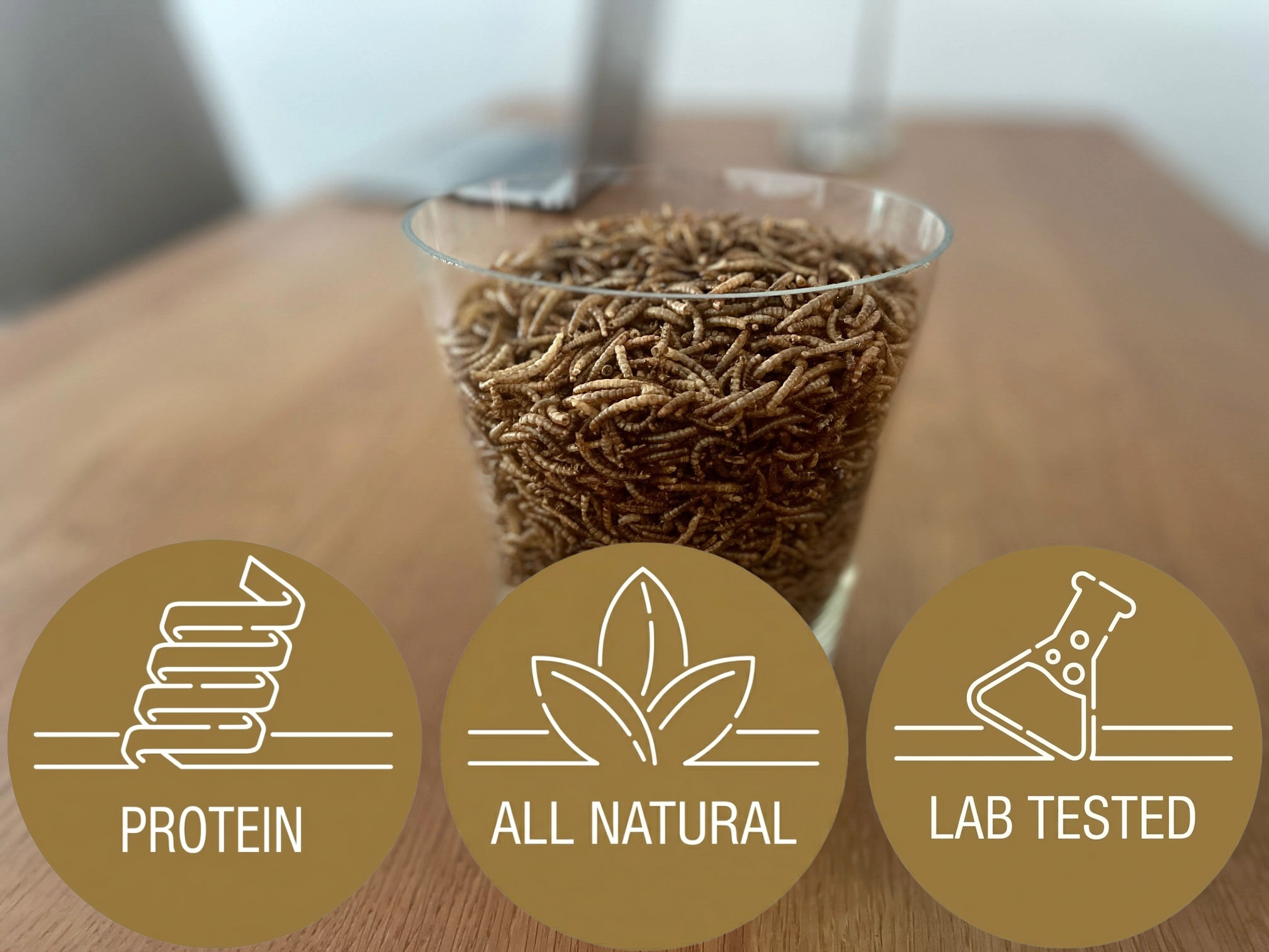 mealworms in glass