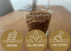 reptile food